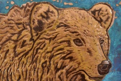 Brown Bear Detail