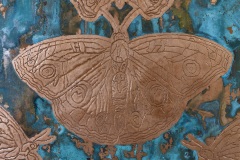 Western Butterflies Detail